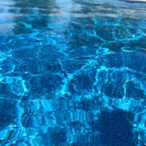 Meet your Posher, Brie